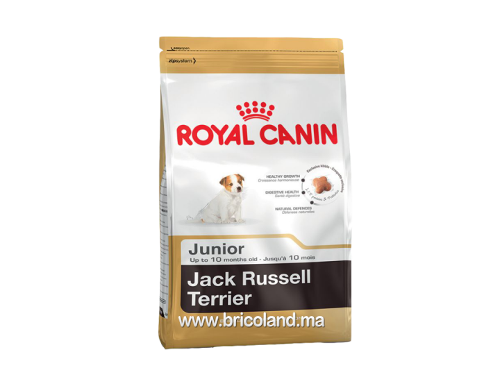 Croquettes pour chiot Jack Russel Junior - de 10 mois - 3 Kg - Royal Canin
