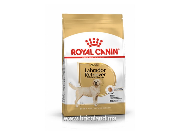 Croquettes pour chien Labrador Retriever Adult 12 Kg - Royal Canin
