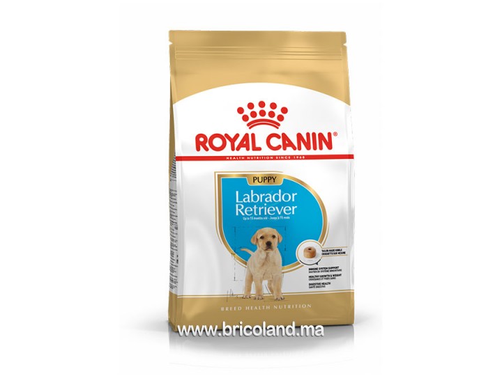 Croquettes pour chiot Labrador Retriever Puppy 12 Kg - Royal Canin