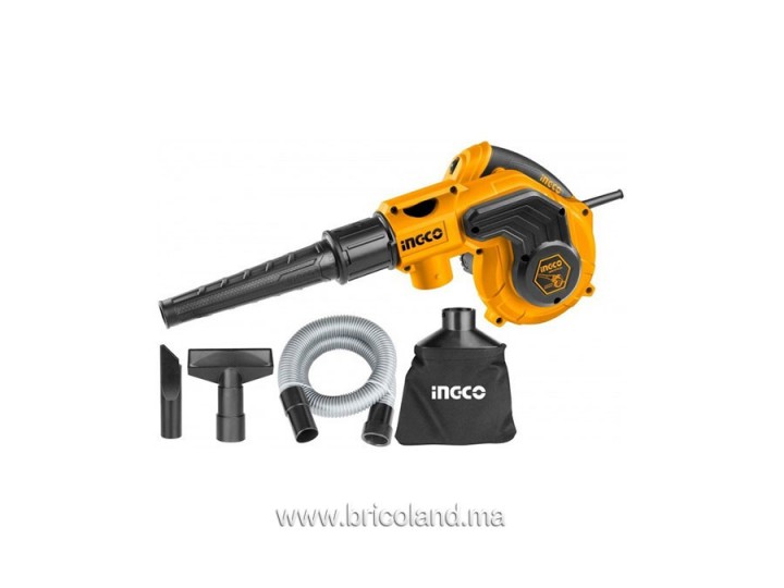 Souffleur Aspirateur électrique AB8008 + 4 accessoires - INGCO
