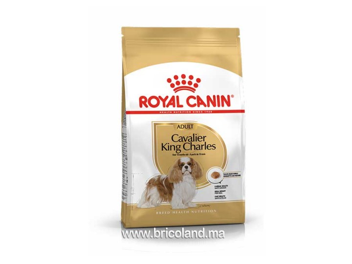 Croquettes pour chien Cavalier King Charlese Adulte - 1.5 Kg - Royal Canin
