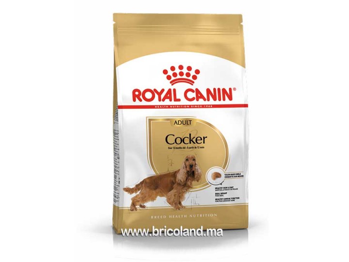 Croquettes pour chien Cocker Adulte - 3 Kg - Royal Canin