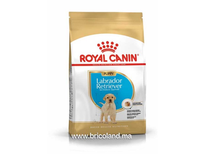 Croquettes pour chiot Labrador Retriever Puppy - 3 Kg - Royal Canin