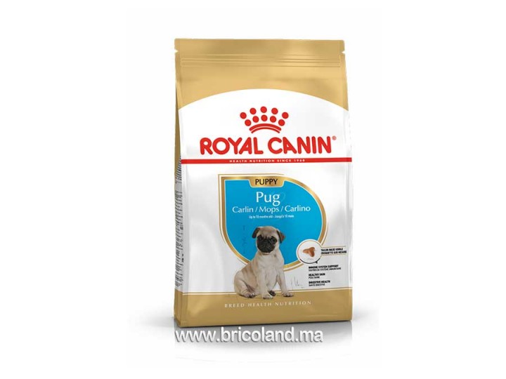 Croquette pour chien Pug Puppy - 1.5 Kg - Royal Canin