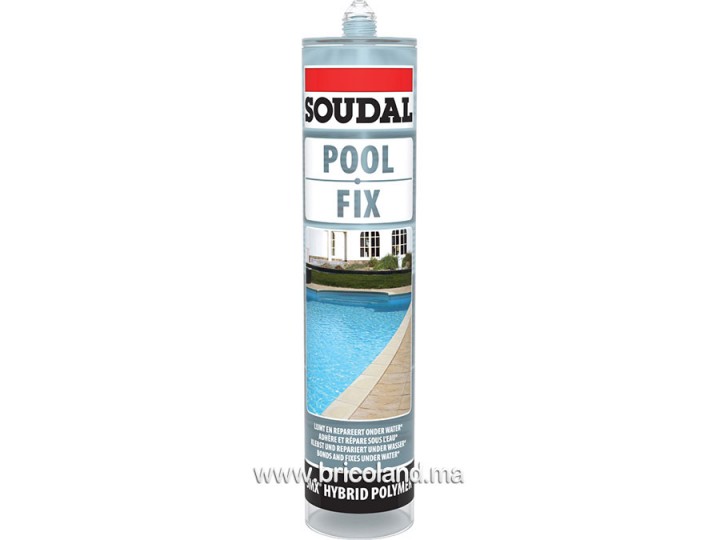 Colle-mastic Pool Fix 290ml - Soudal