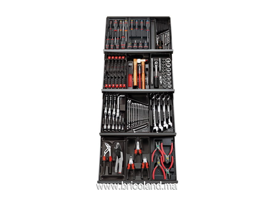Bricoland - caisse & coffret à outils - Composition de 131 outils CM.129APB  - Facom
