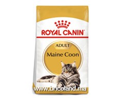 Croquettes pour chat Maine Coon - 2 Kg - Royal Canin