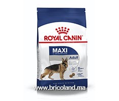 Croquettes pour chien Adulte + 15 mois - Maxi Adult - 4 Kg - Royal Canin