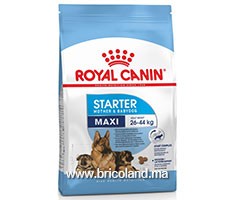 Croquettes pour chienne et chiot - Maxi Starter M&B - 4 Kg - Royal Canin