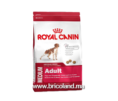 Croquettes pour chien Adulte +12 mois - Medium Adult - 15 Kg - Royal Canin