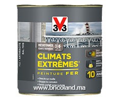 Peinture fer Climats Extrêmes Mat 0.5L - V33 