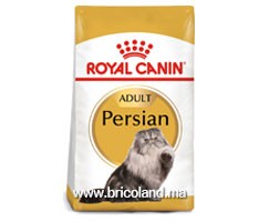 Croquettes pour chat Persian - 10 Kg - Royal Canin