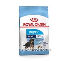 Croquettes pour chiot de 2 mois à 15 mois - Maxi Puppy - 4 Kg - Royal Canin