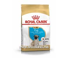Croquette pour chien Pug junior 1.5 Kg - Royal Canin