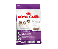 Croquettes pour chien Adulte + de 18 - 24 mois - Giant Adult - 15 Kg - Royal Canin 