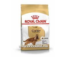 Croquettes pour chien Cocker Adulte - 3 Kg - Royal Canin