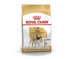  Croquette pour chien Pug adulte + de 10 mois - 1.5 Kg - Royal Canin