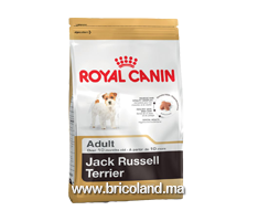 Croquettes pour chien Jack Russell Terrier + de 10 mois - 3 Kg - Royal Canin
