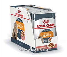 Croquettes Chat Indoor 400g - Royal Canin Maroc